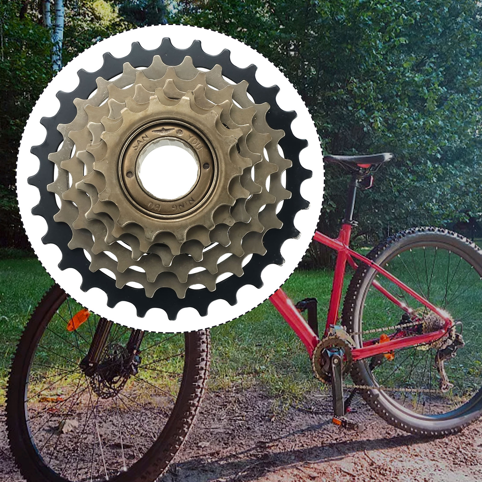 Cycling Gear Parts - 1pc Bike Screw On Freewheel 6